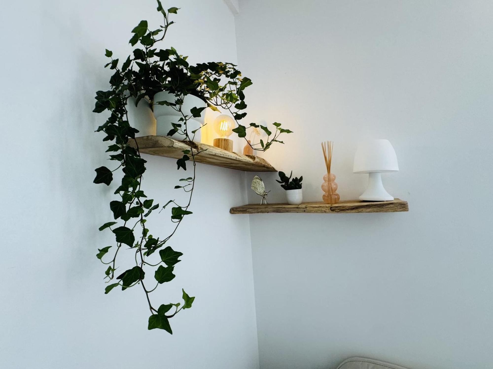 Le Piccolo - Appartement Cosy - Wifi Begles Luaran gambar